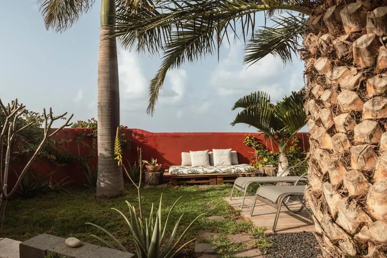 Papaya Cottage Punta Del Hidalgo Hiszpania